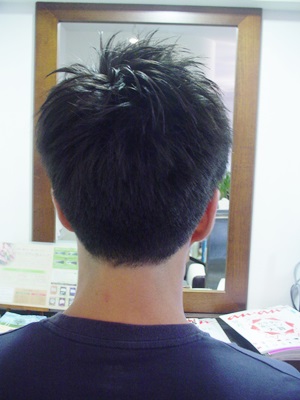 036d.JPG