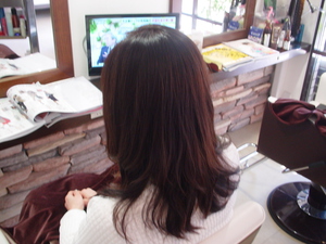 964.JPG